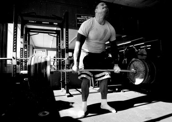 Nebido 1000 mg Bayer Ergebnisse Nebido 1000 mg Bayer Ergebnisse